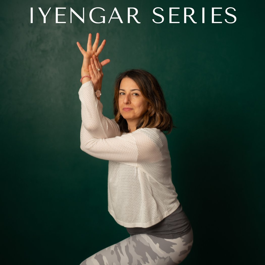 Monthly Iyengar Series with Katrin Arefy 1
