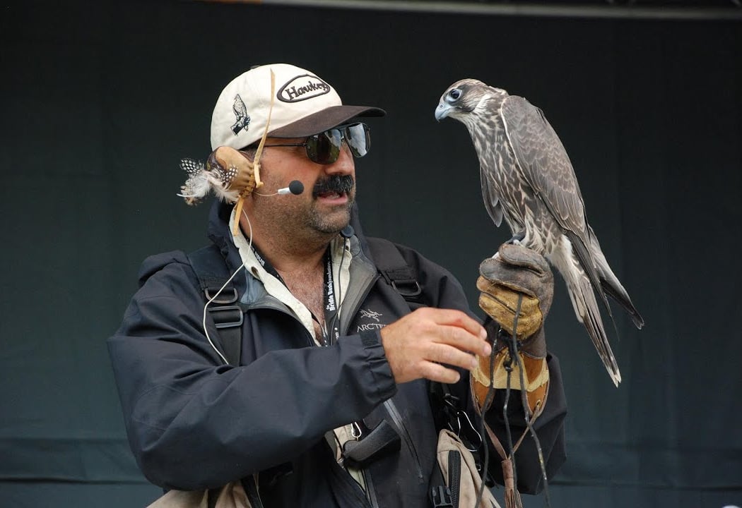 Peninsula Open Space Trust: Raptor Encounter 3