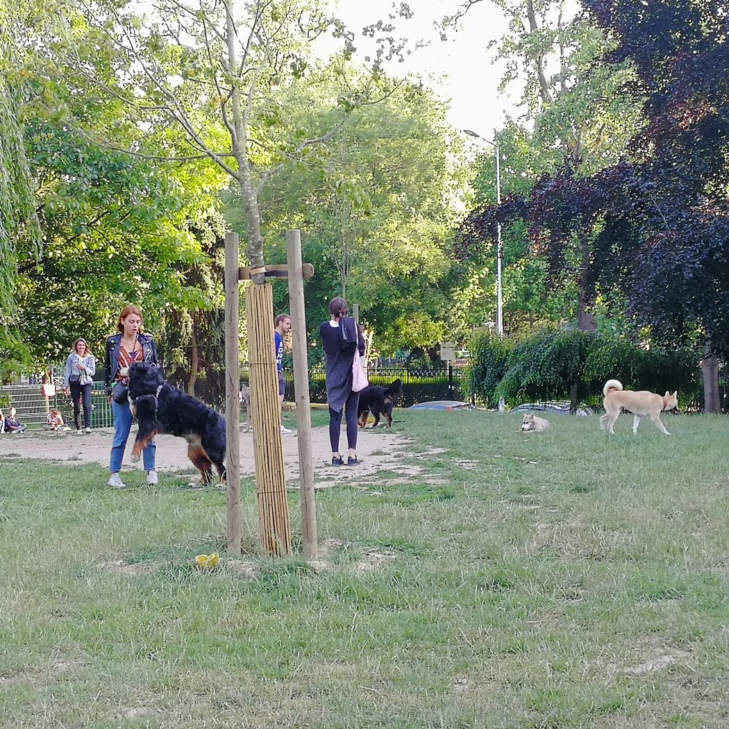 Parc à chiens 3