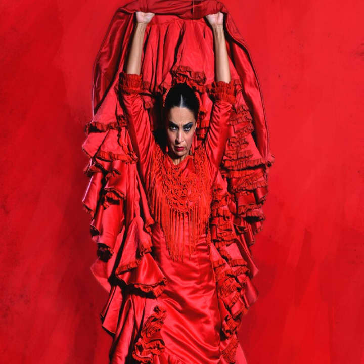 Clase de Flamenco 2