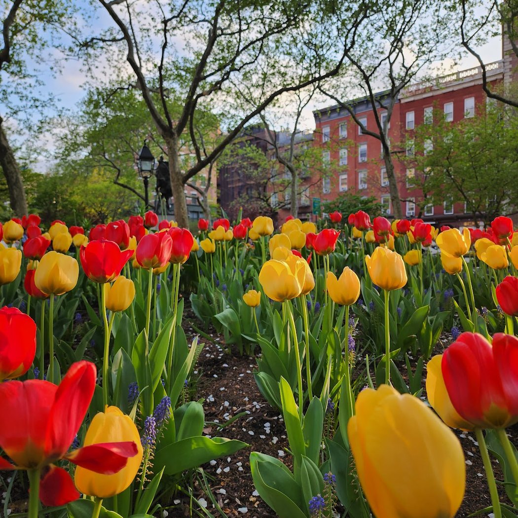 Abingdon Square 5