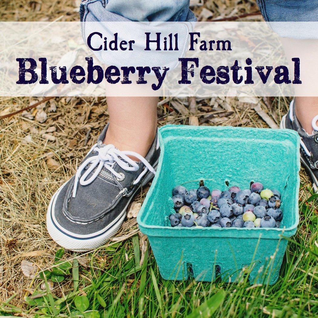 Blueberry & Flower Fest 3