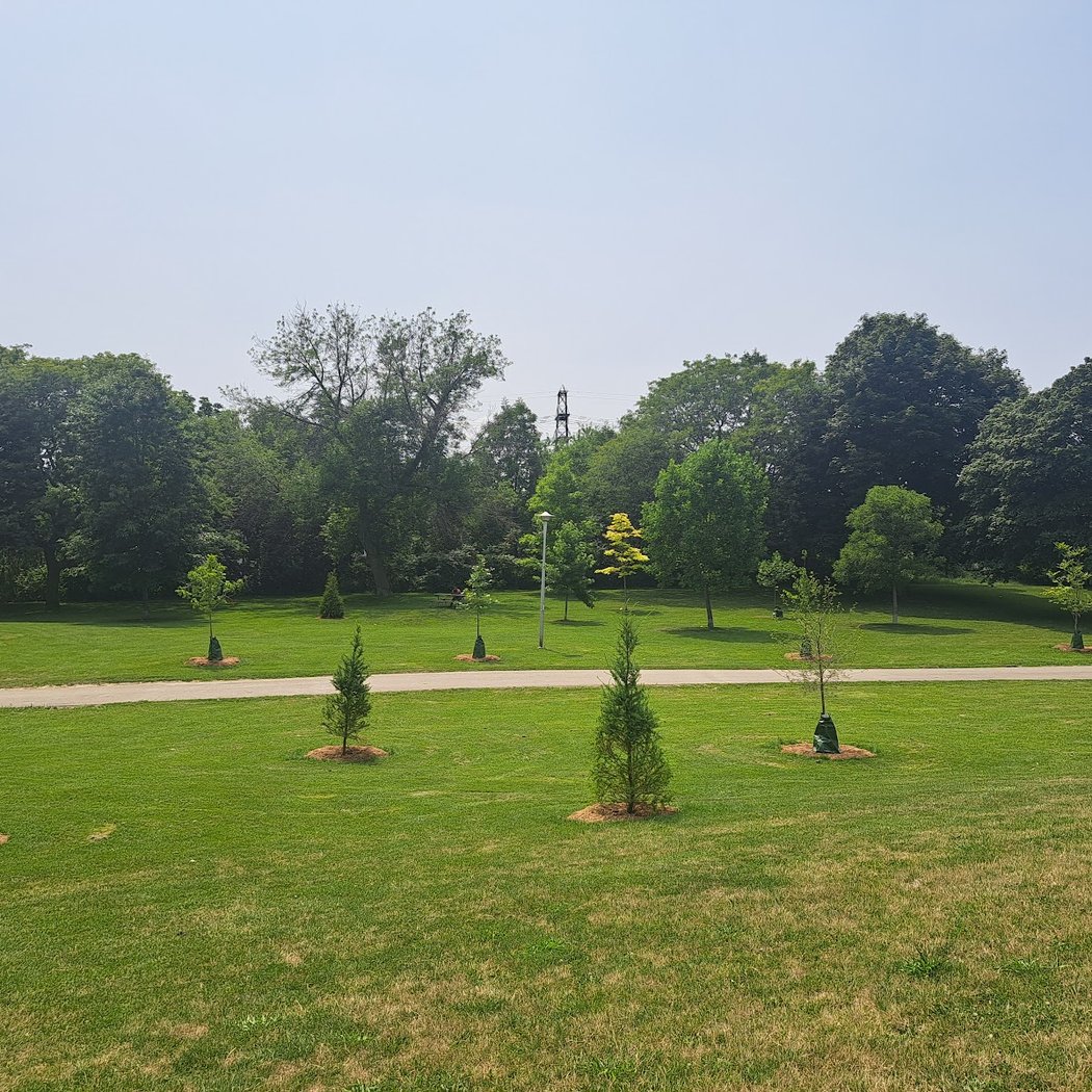 Earlscourt Park Dogs Off-Leash Area 2