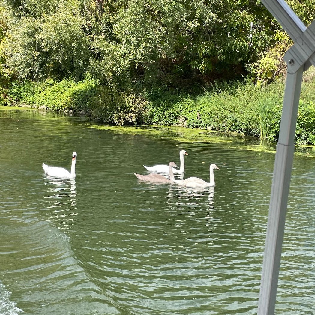 L'Ecluse Boat Service 3