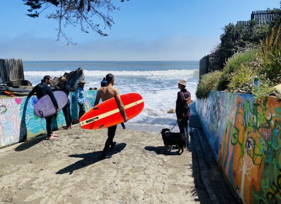 Bolinas 1
