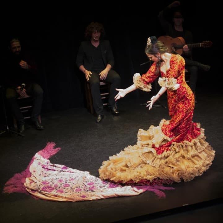 Espectáculo de flamenco 3