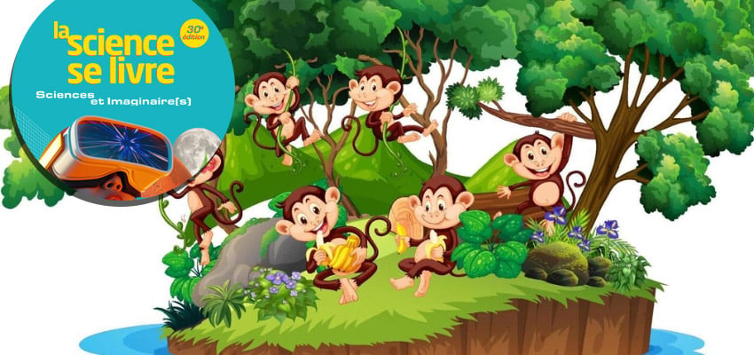 Atelier : L'île aux singes 1