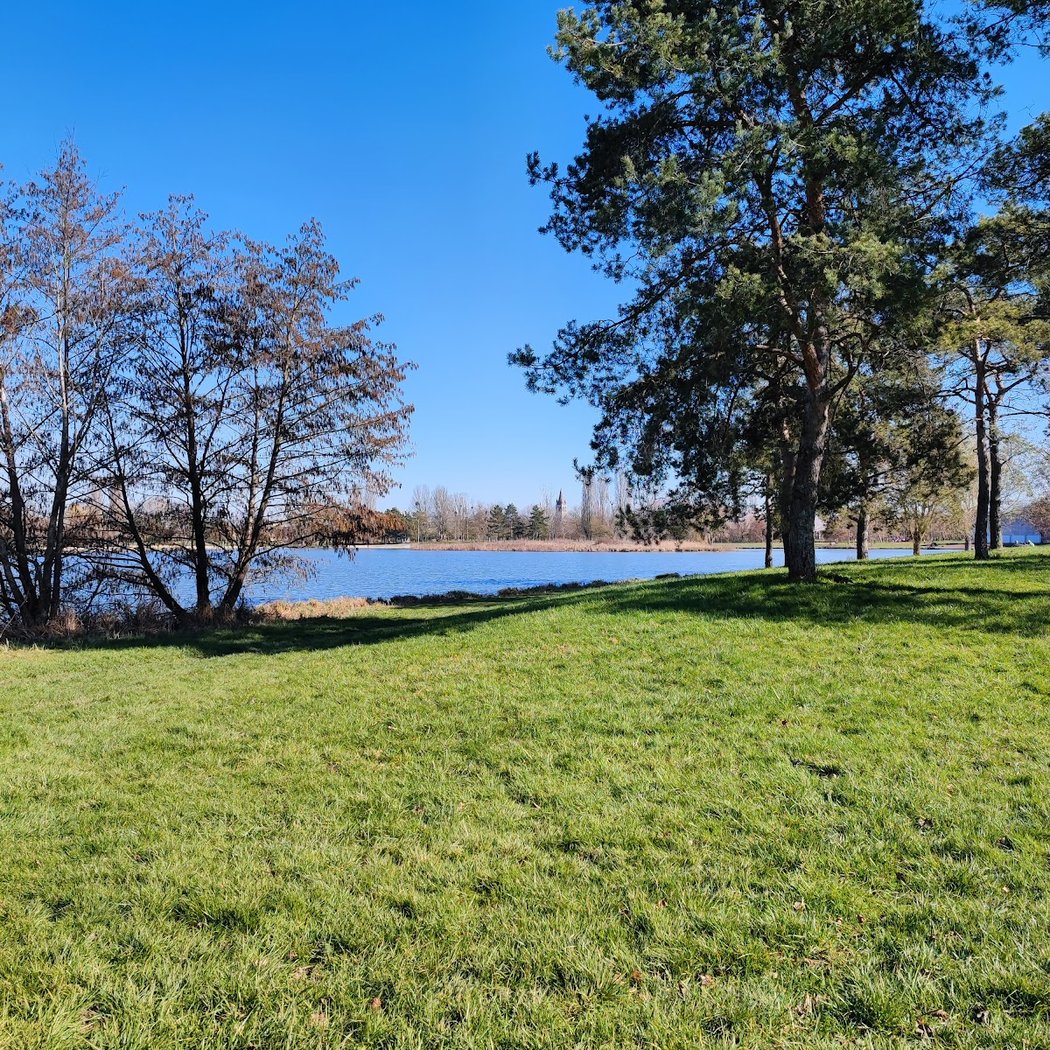 Belle Isle Park 3