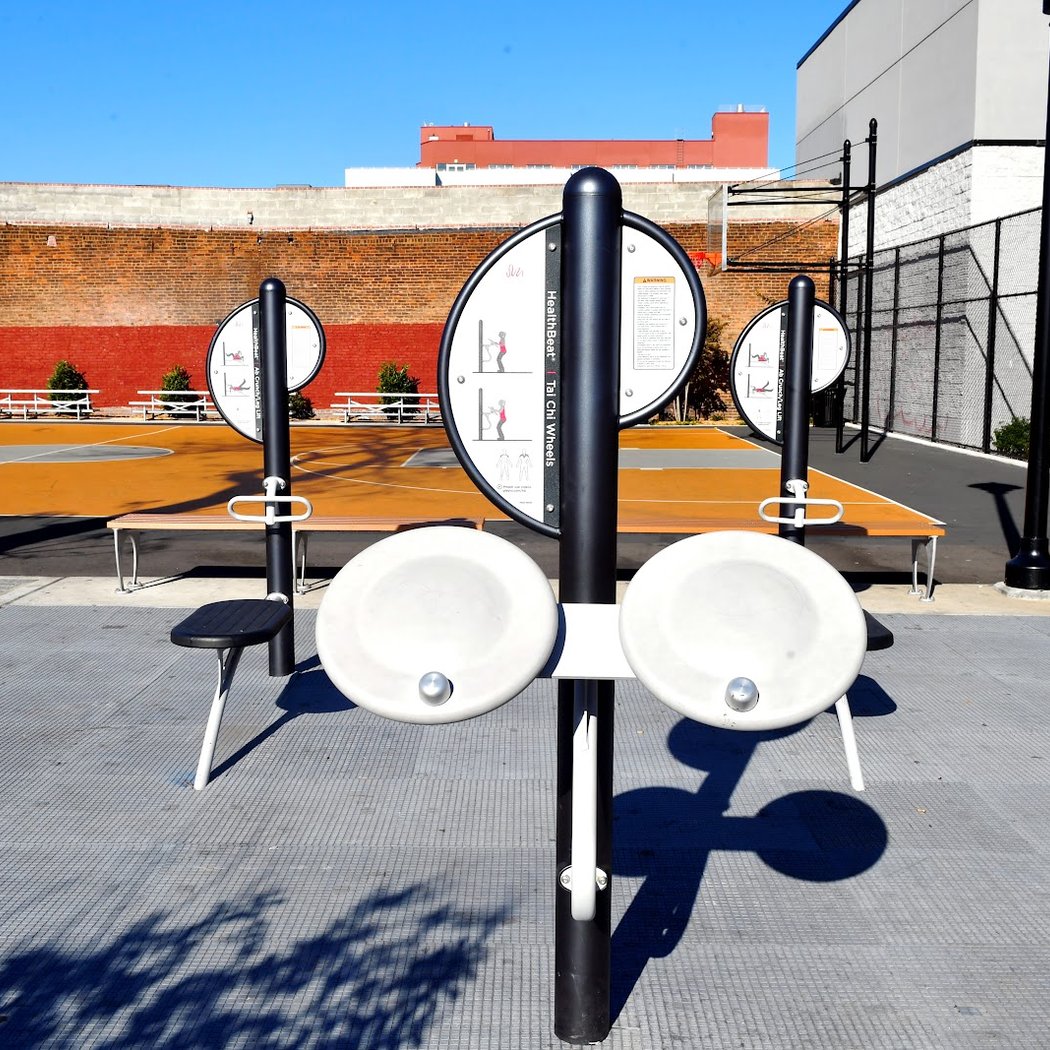Lion's Pride Playground 2
