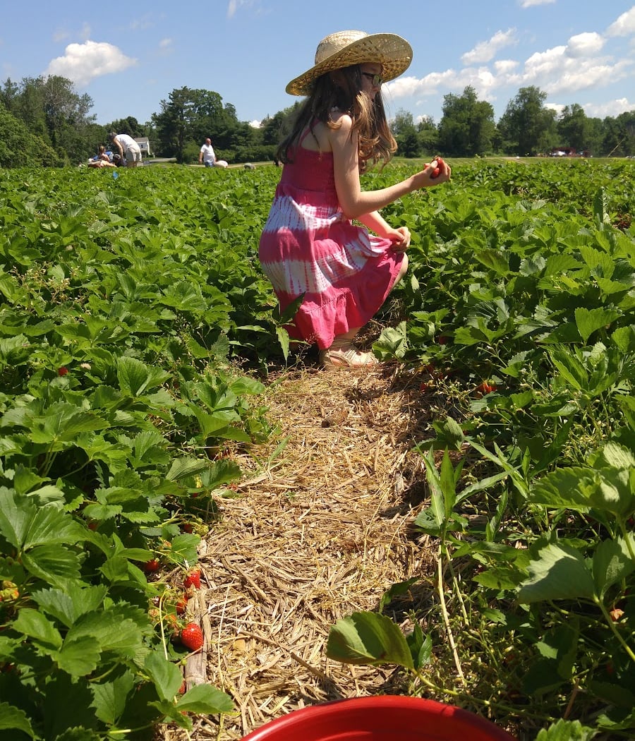 Mountain View Farm 1