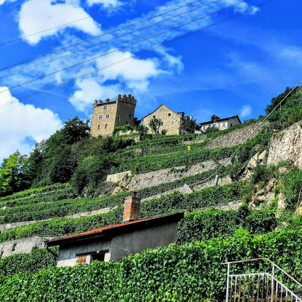 Domaine Butticaz Dézaley 2