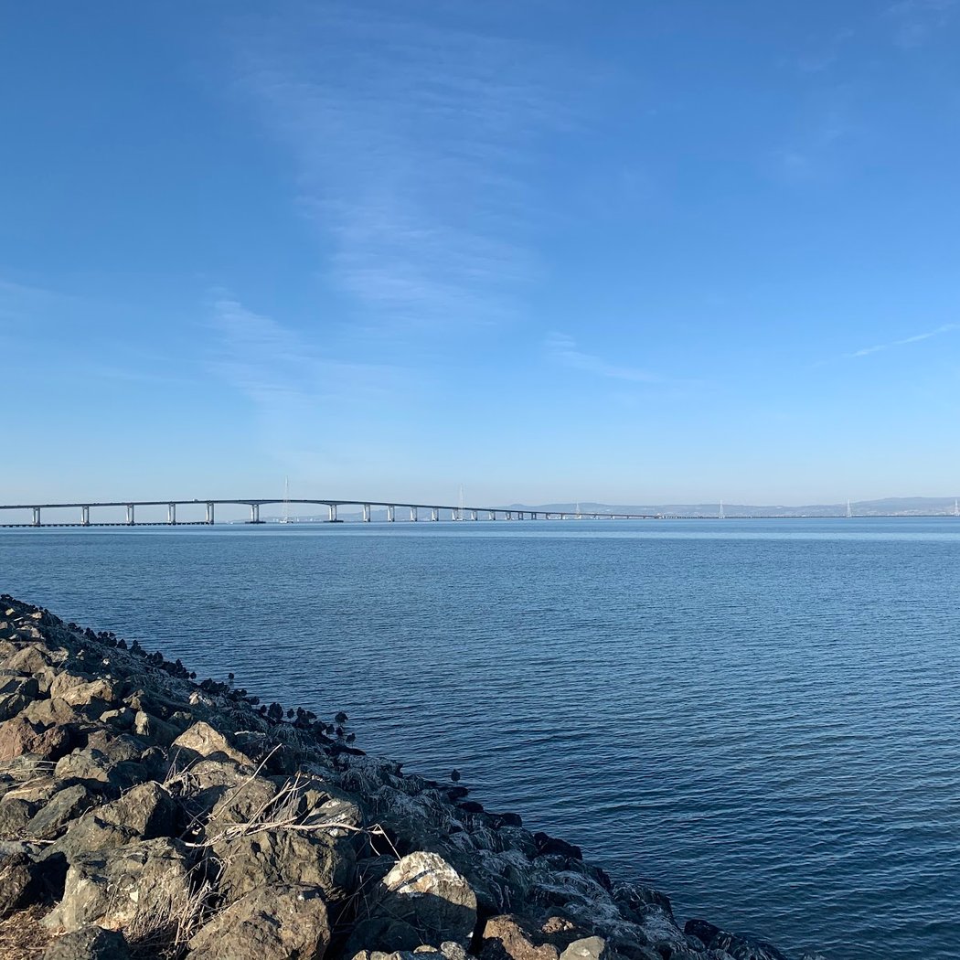 Bay Trail / Foster City 2