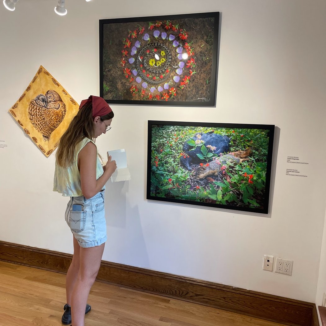Underland Gallery 1