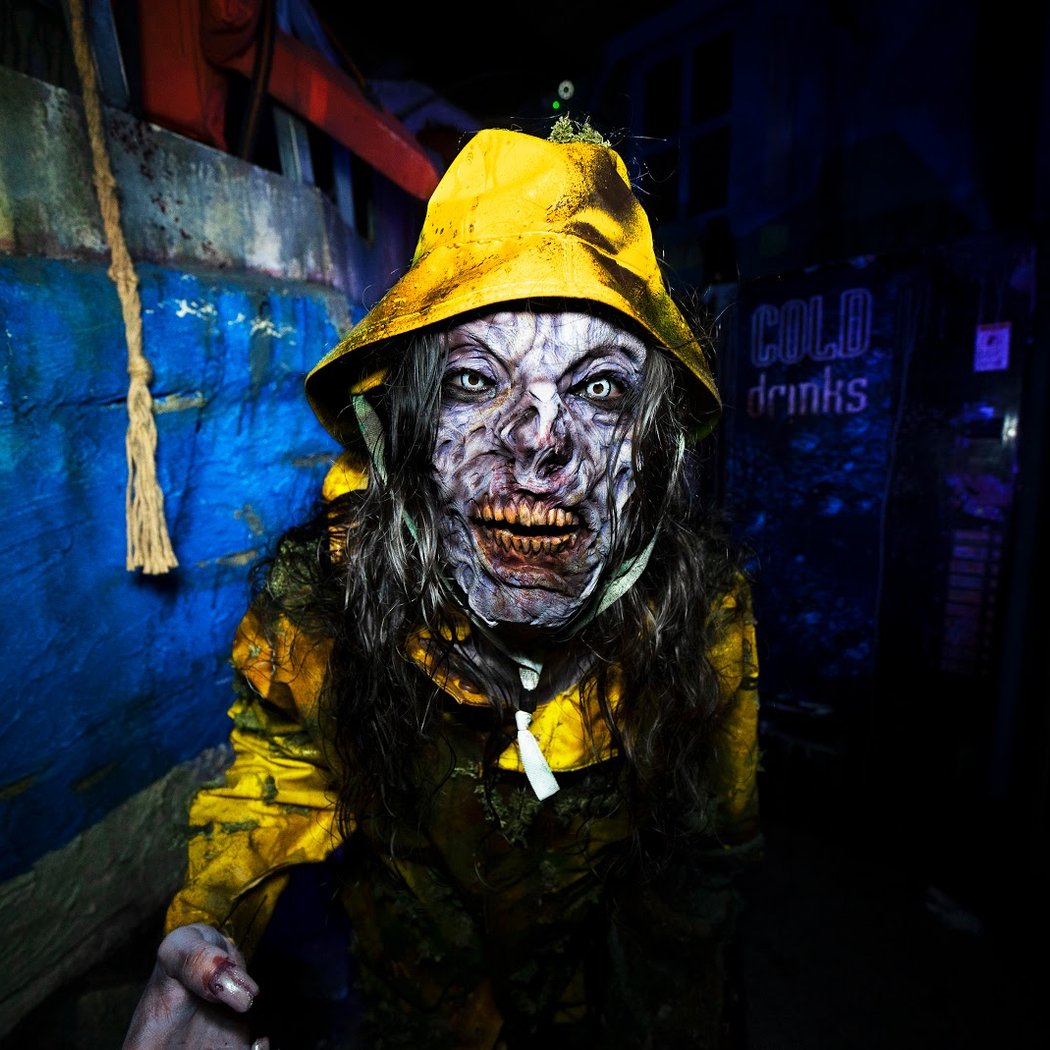 BAYVILLE SCREAM PARK 1