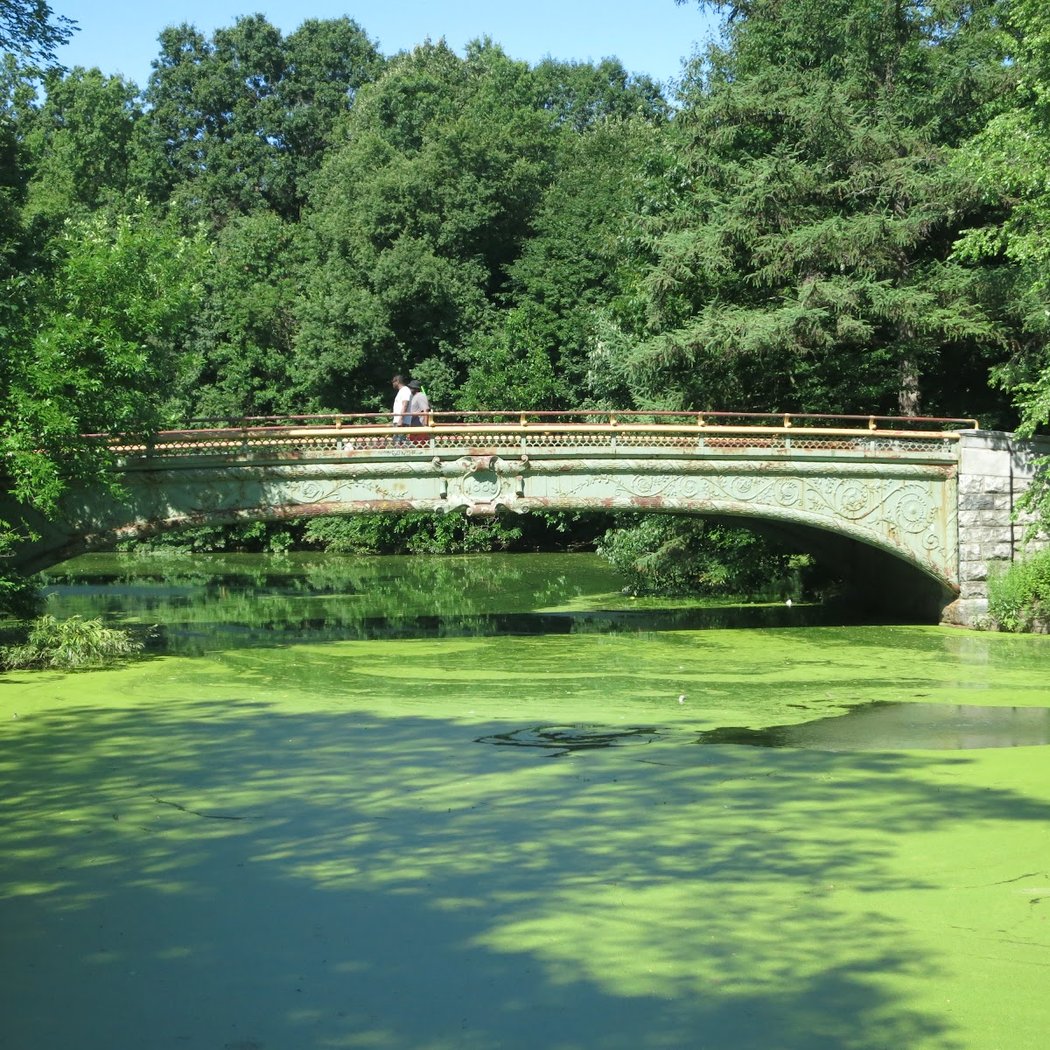 Lullwater Bridge 1
