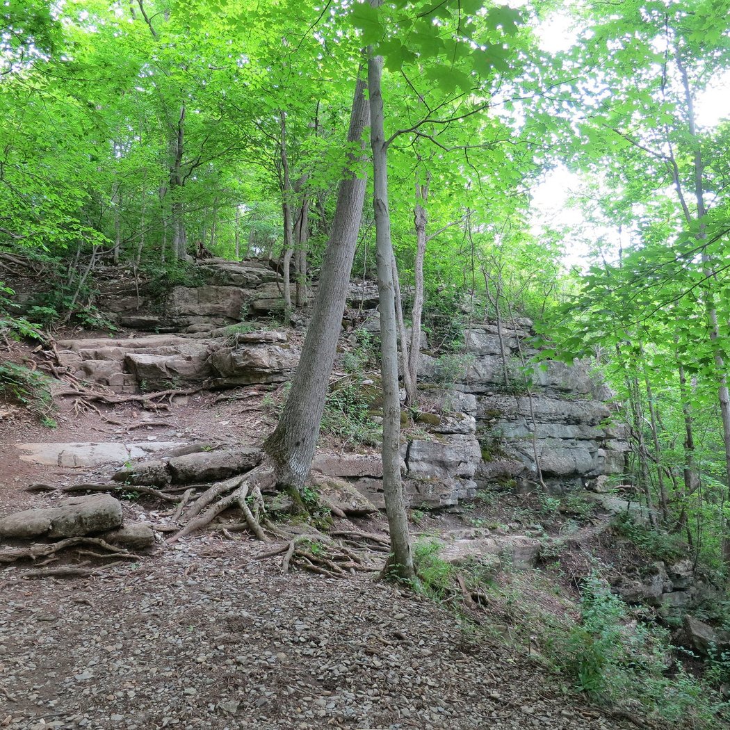 Maclellan Island 4