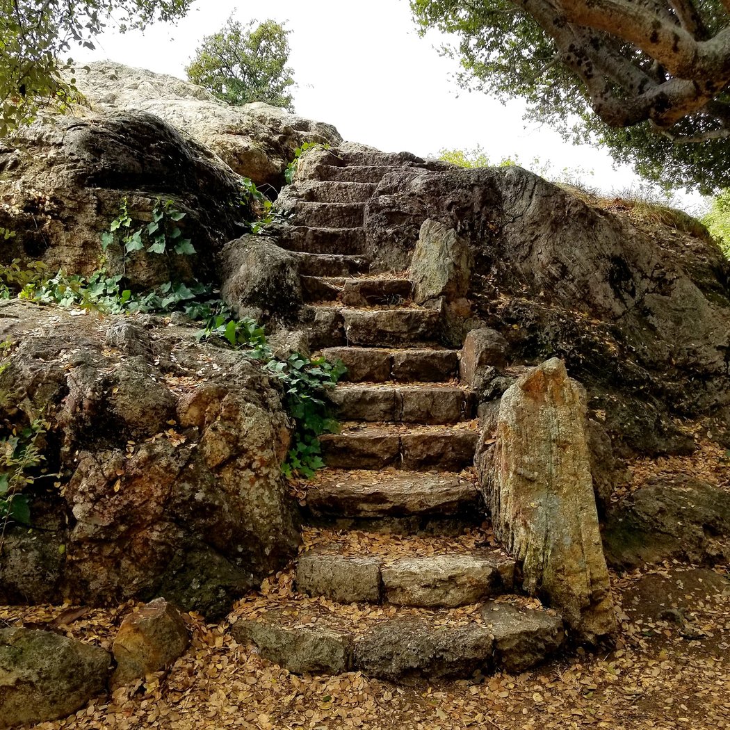 Contra Costa Rock Park 1