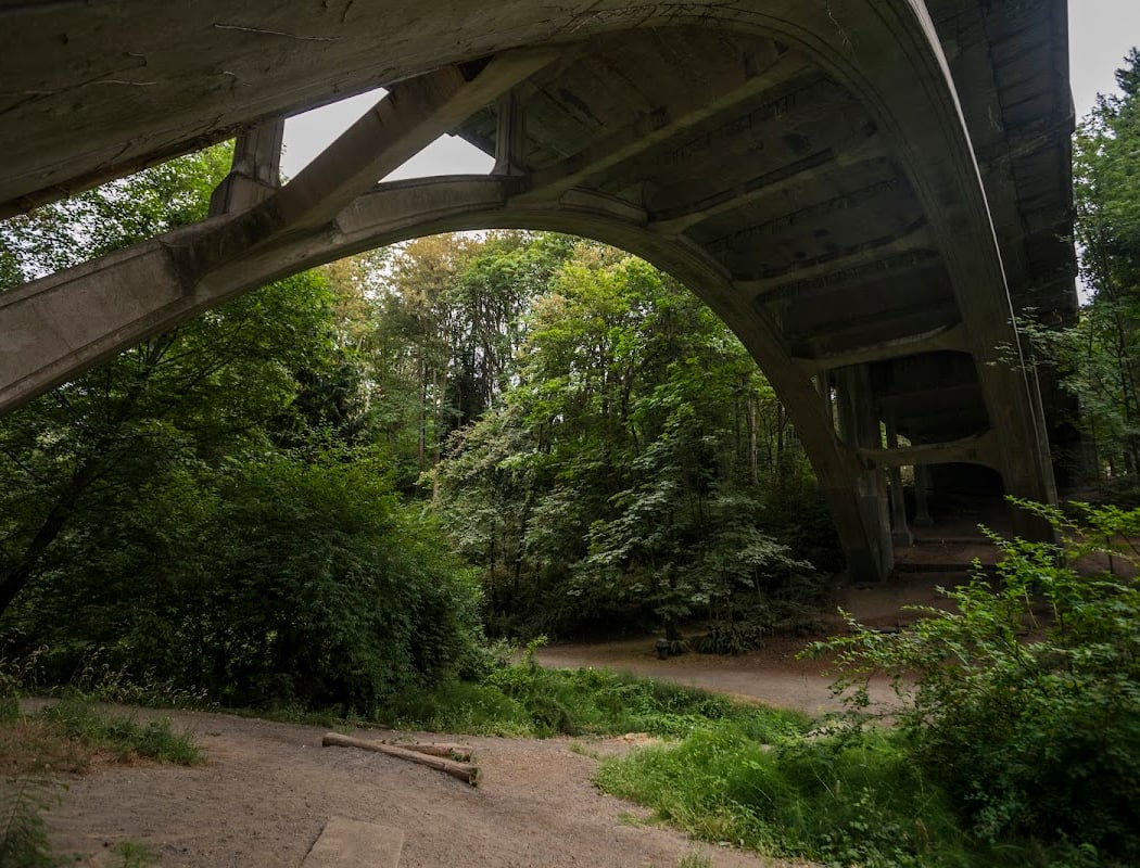 Ravenna Park Restore 3