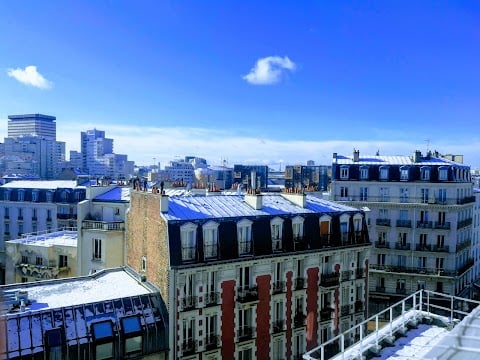 Apprendre à voir les oiseaux en ville 1