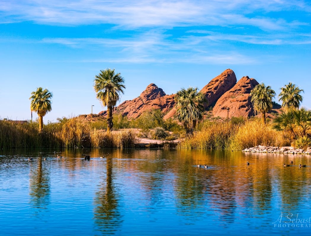 Morning Community Birding at Papago Park 1