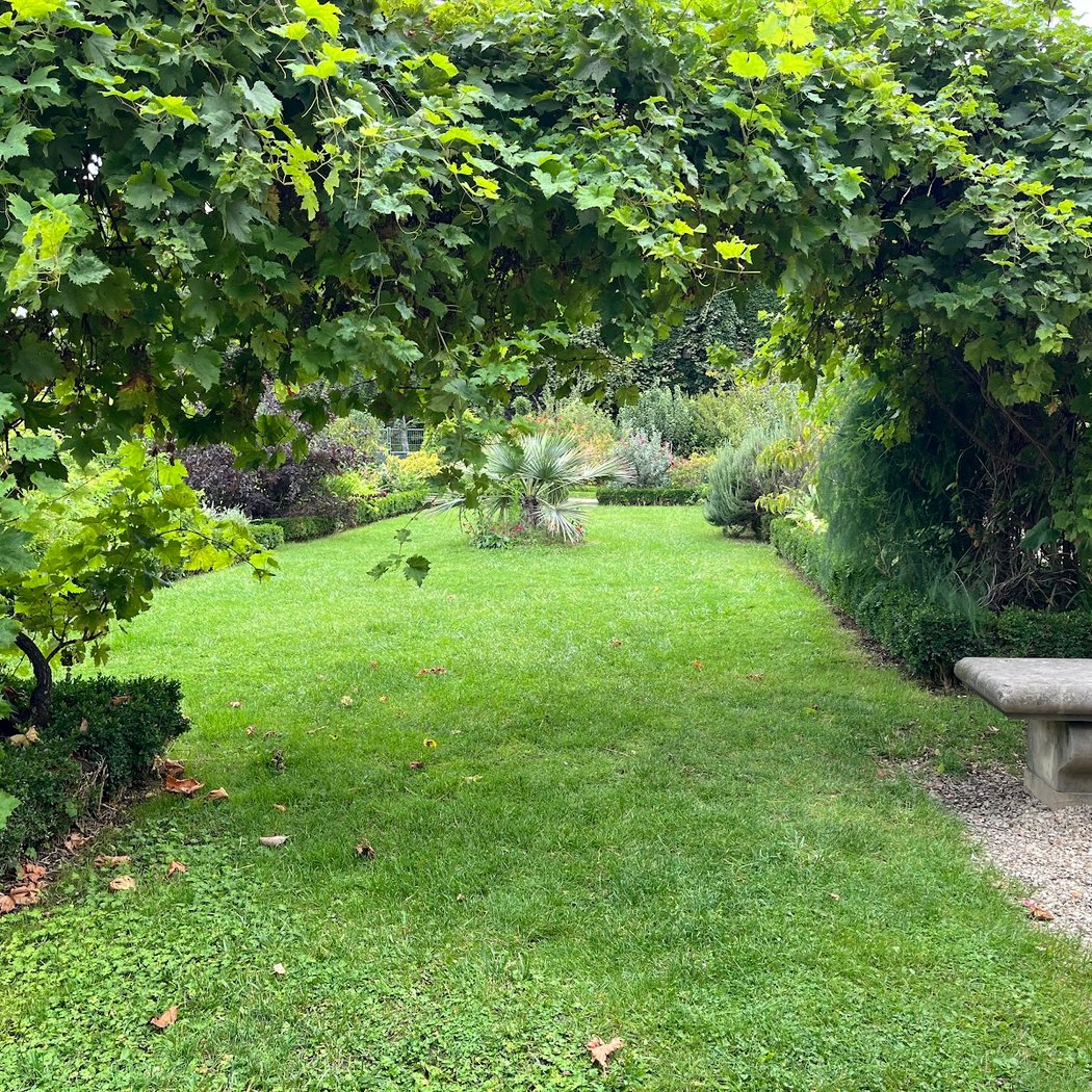 Jardin des Arts - Albert Schweitzer 1