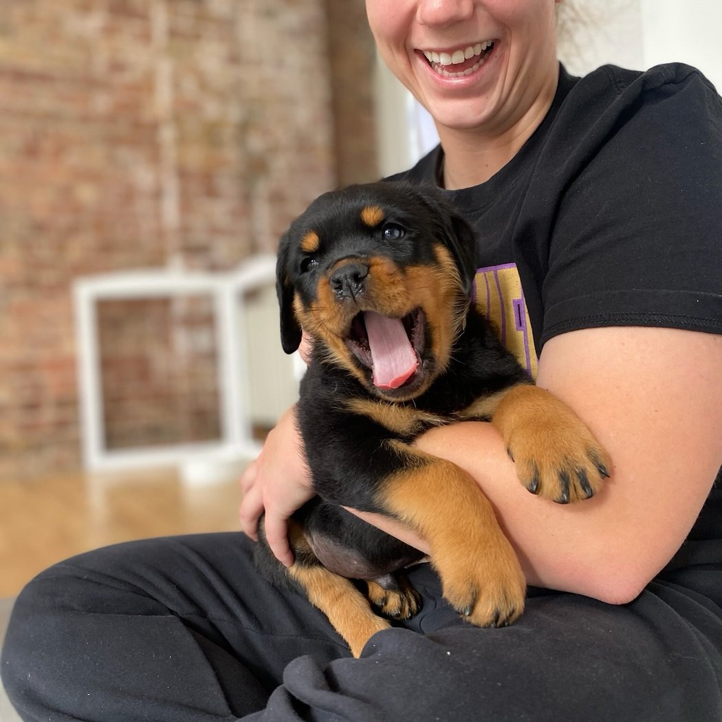Puppy Yoga 3