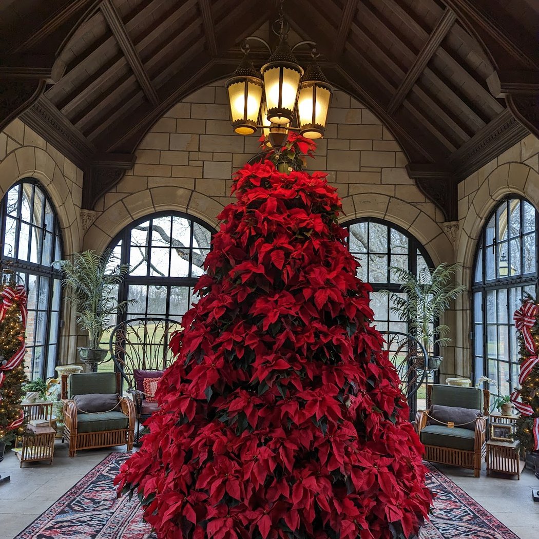 Holiday Walk 1