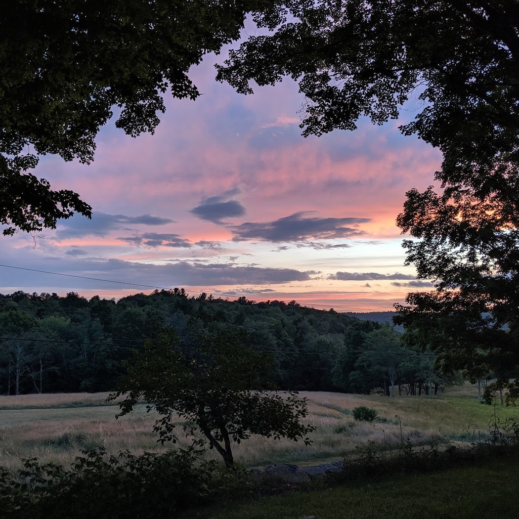 Blueberry Hill Farm 2