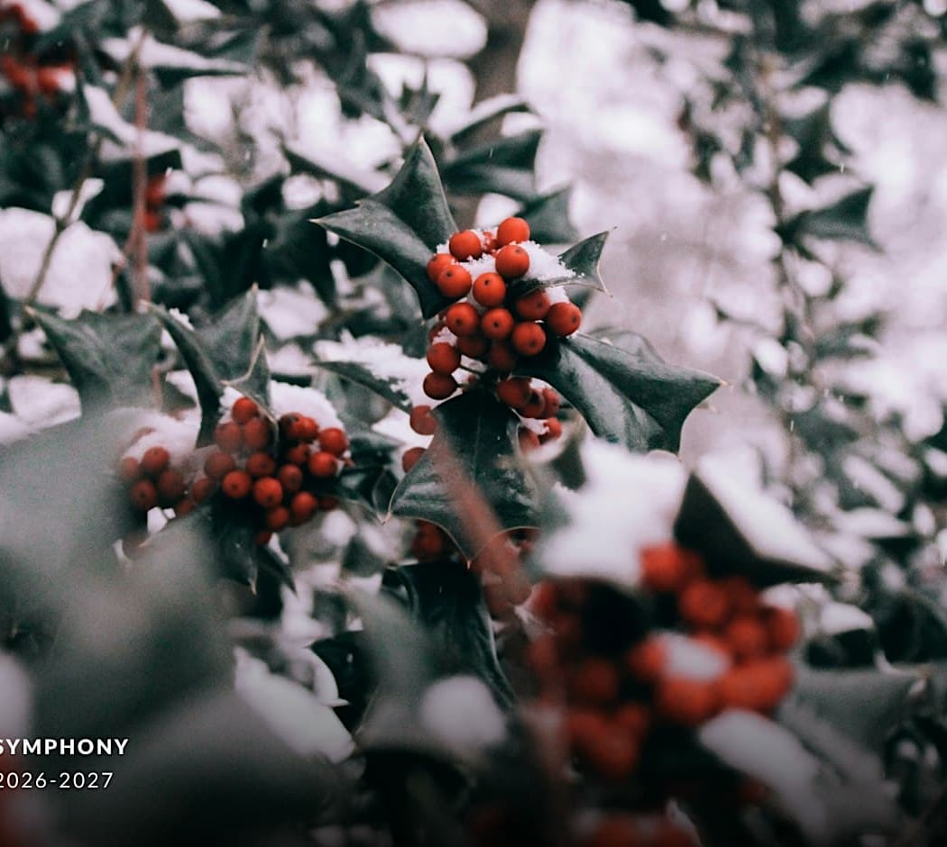 The Chelsea Symphony: Holiday