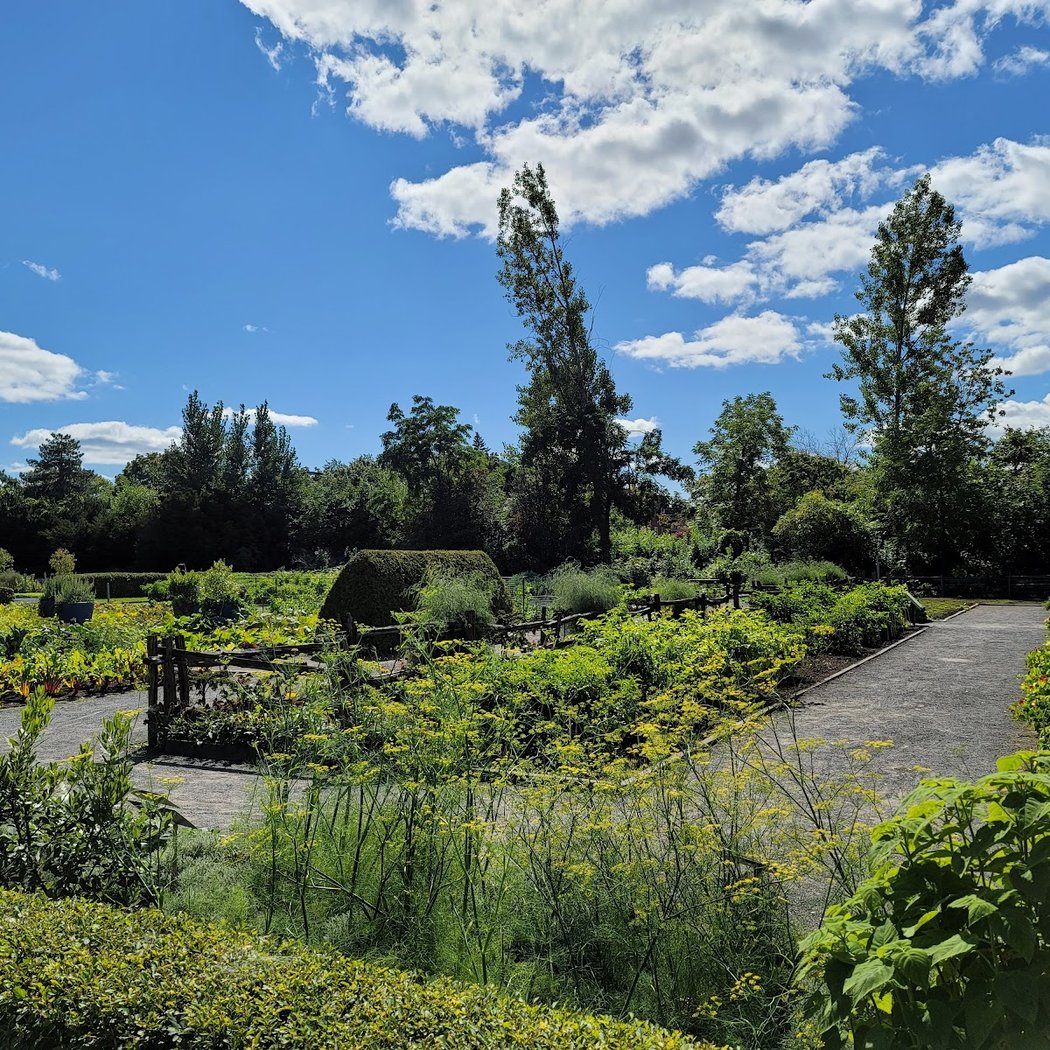 Alpine Garden 3