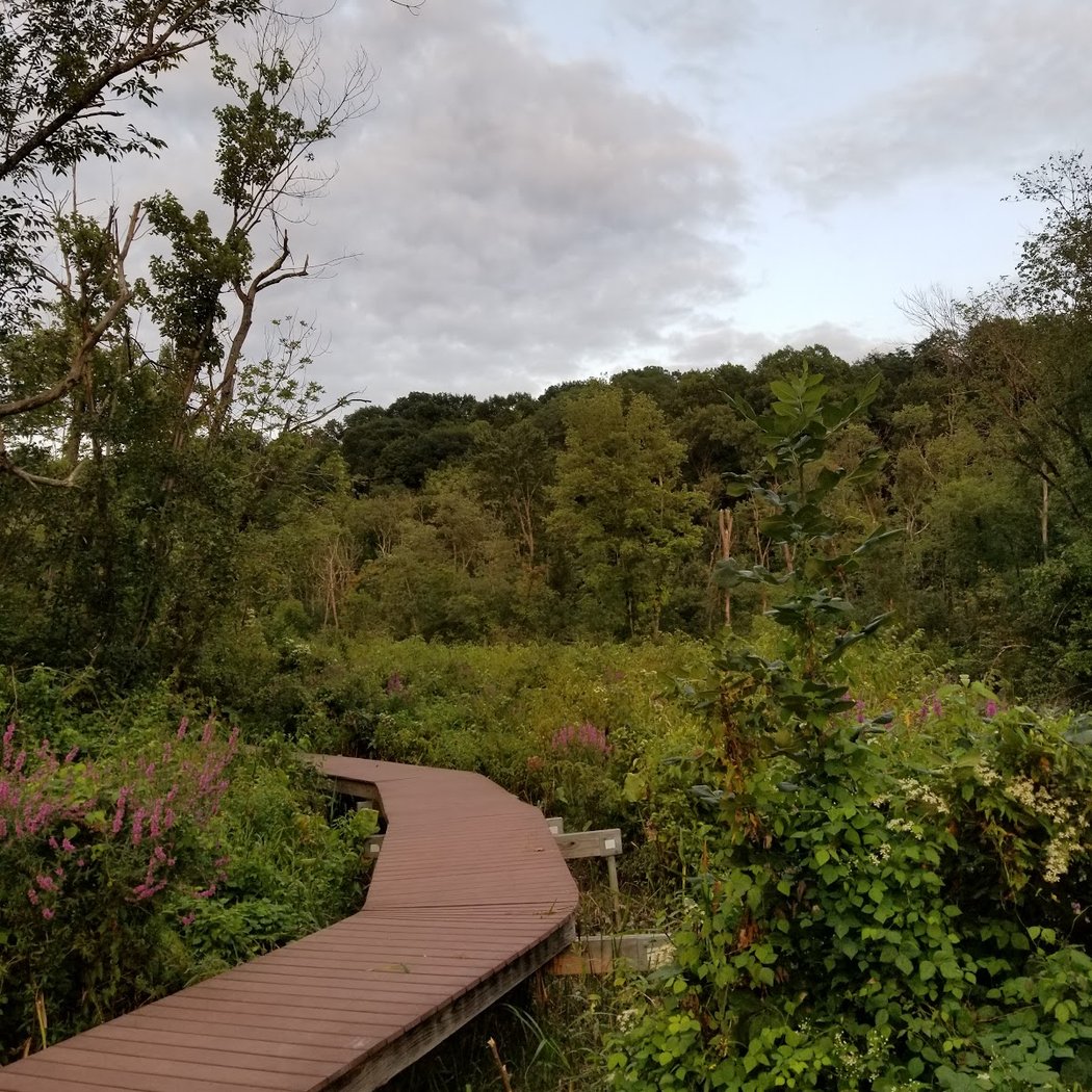 Lewis A. Swyer Preserve 1