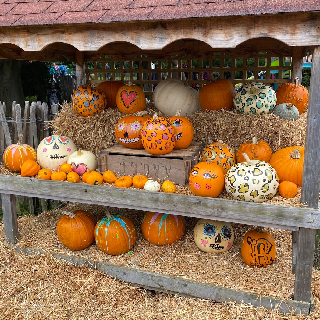 Pumpkin Picking Experience 2