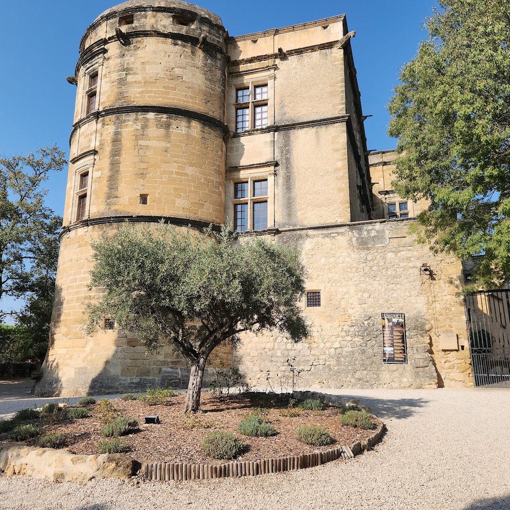 Château de Lourmarin 3