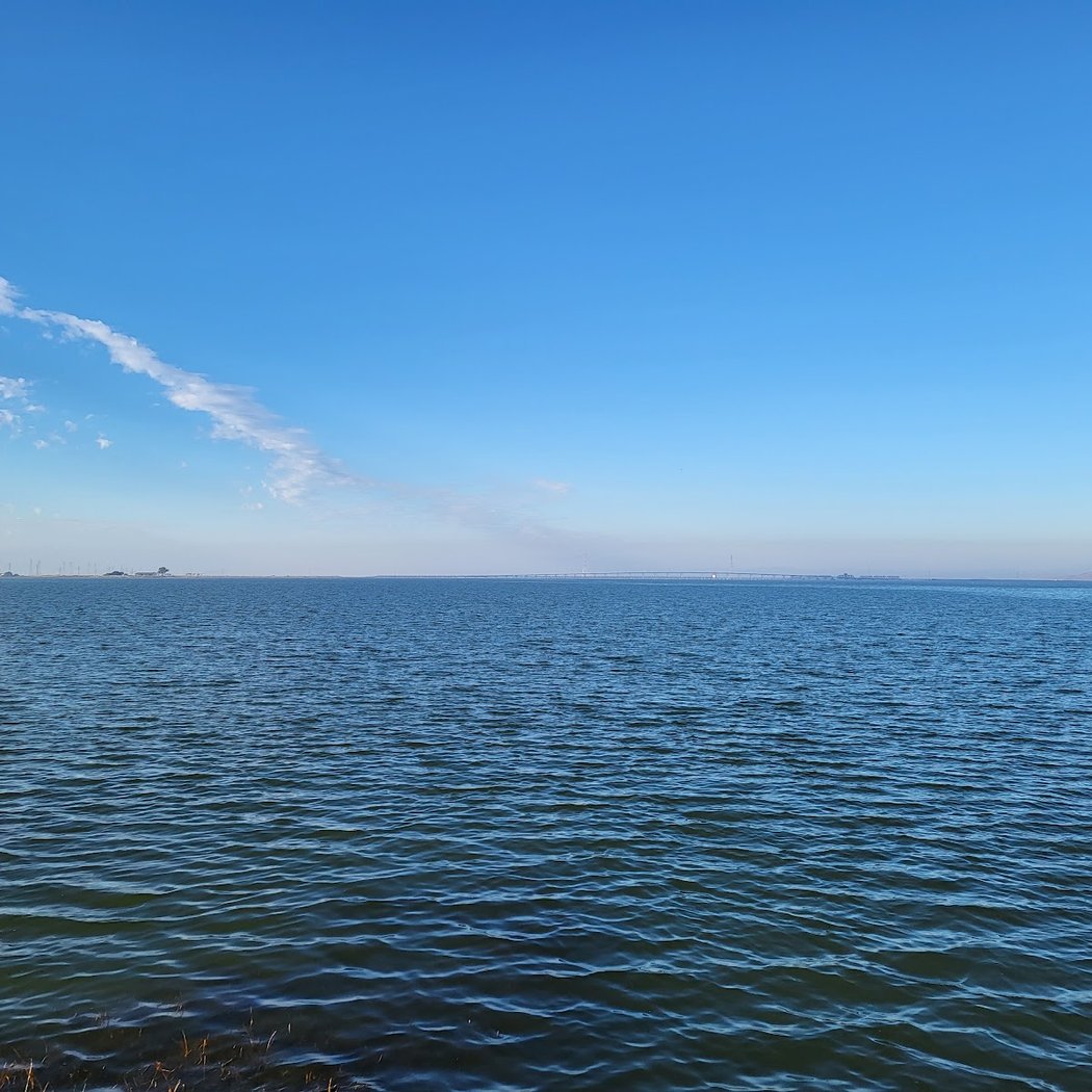 Baylands Observation Deck and Boardwalk 3