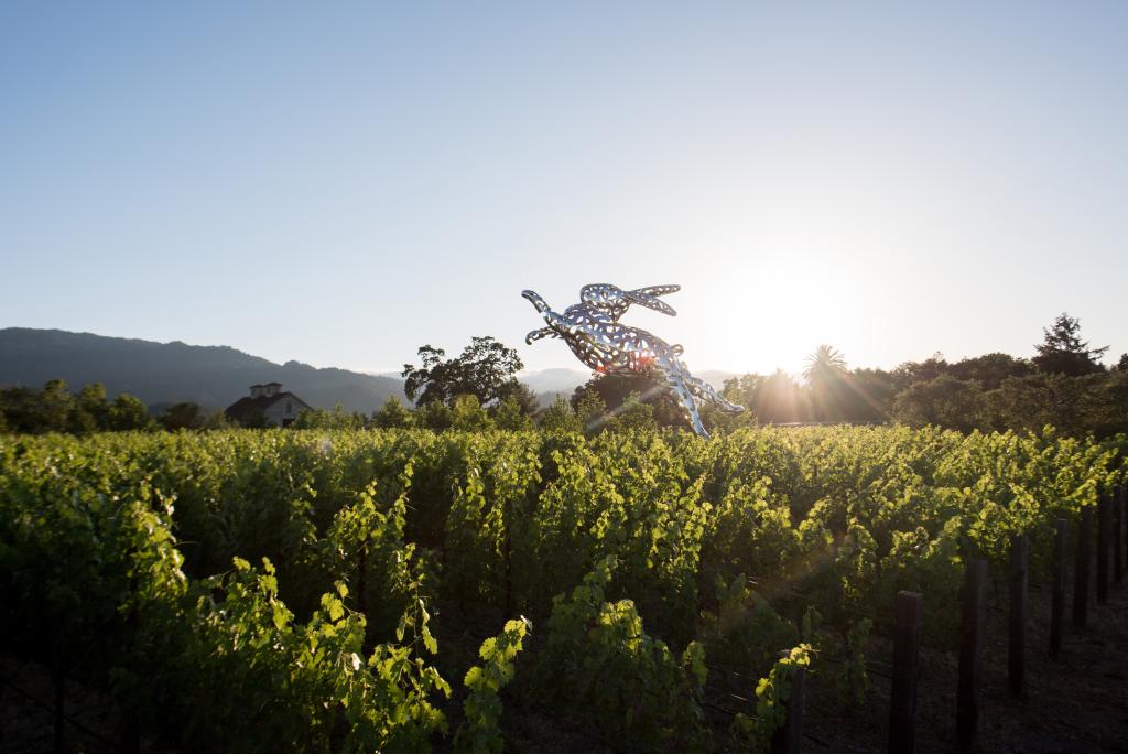 HALL Wines St. Helena 1