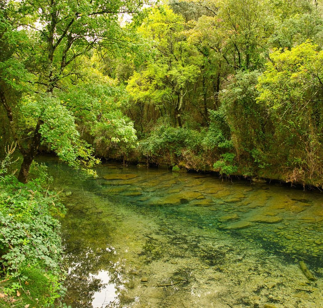 Gorges du Caramy 2