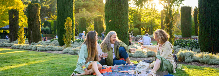 Summer Nights at Filoli
