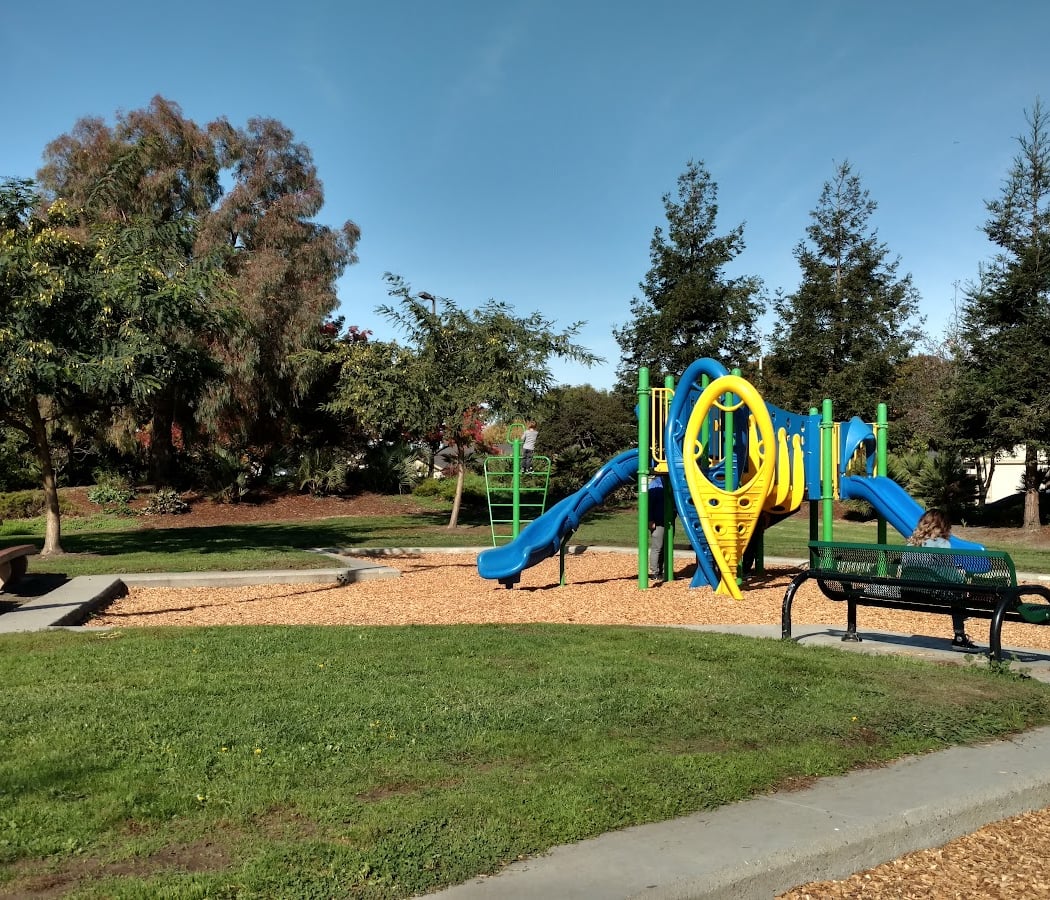 Contempo Park 2
