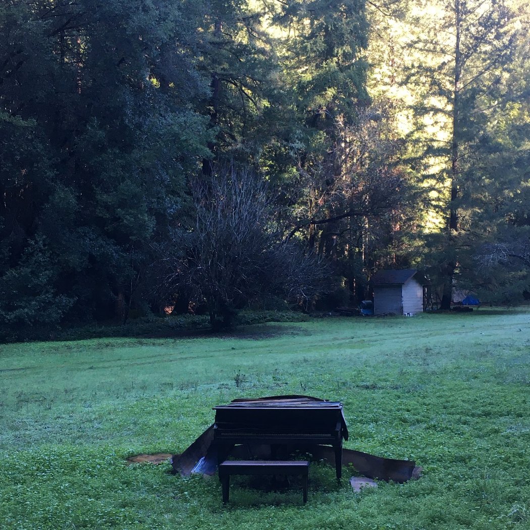 Forestville 4