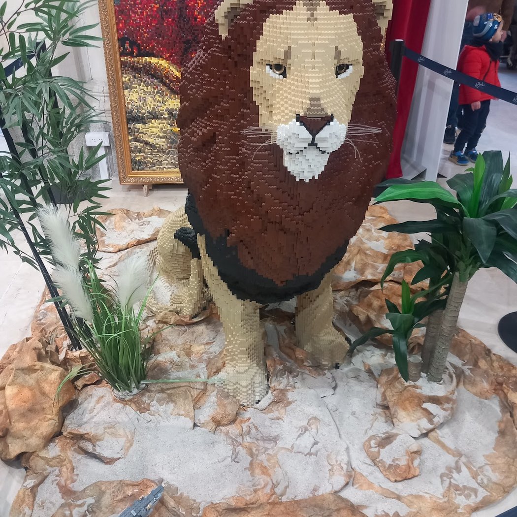 Exposition d'art par le Lions Club 1