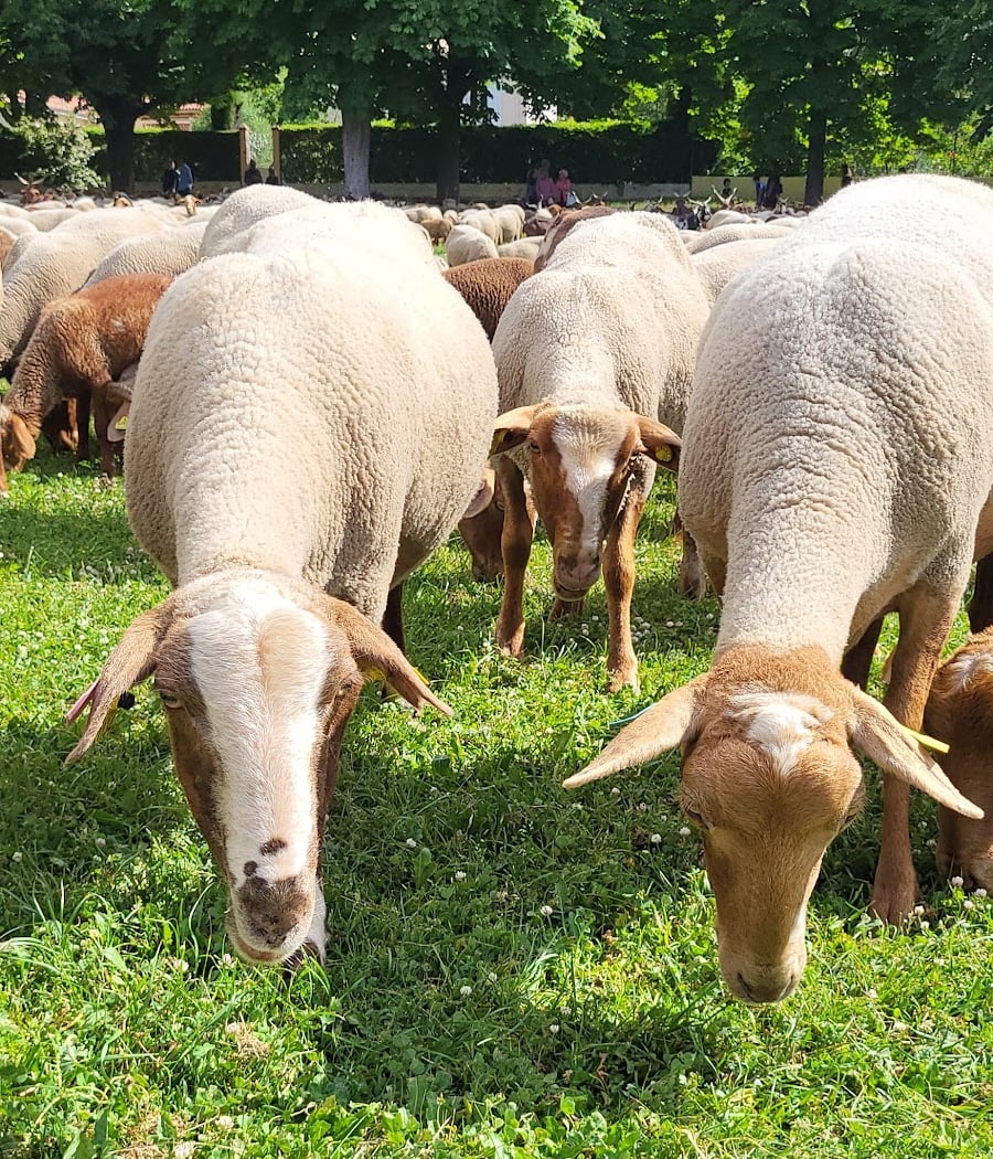 Le grand pré 3