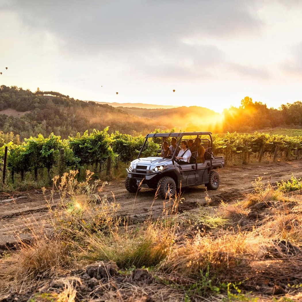 Mount Veeder 2