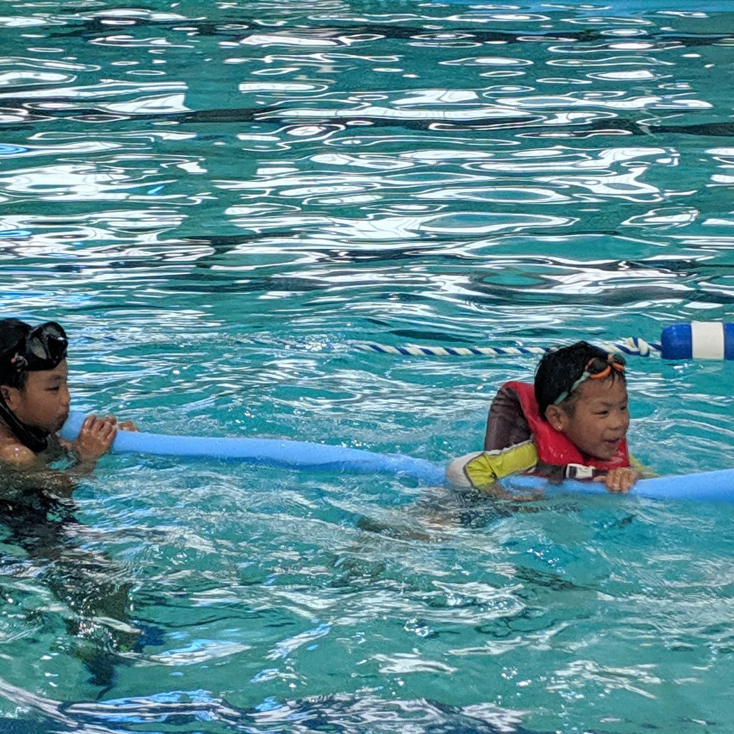 Westmoor High School Swimming Pool - Giammona Pool 1