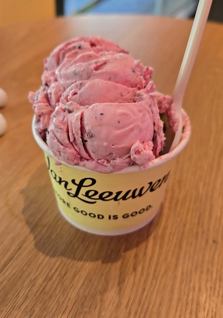 Van Leeuwen Ice Cream 3