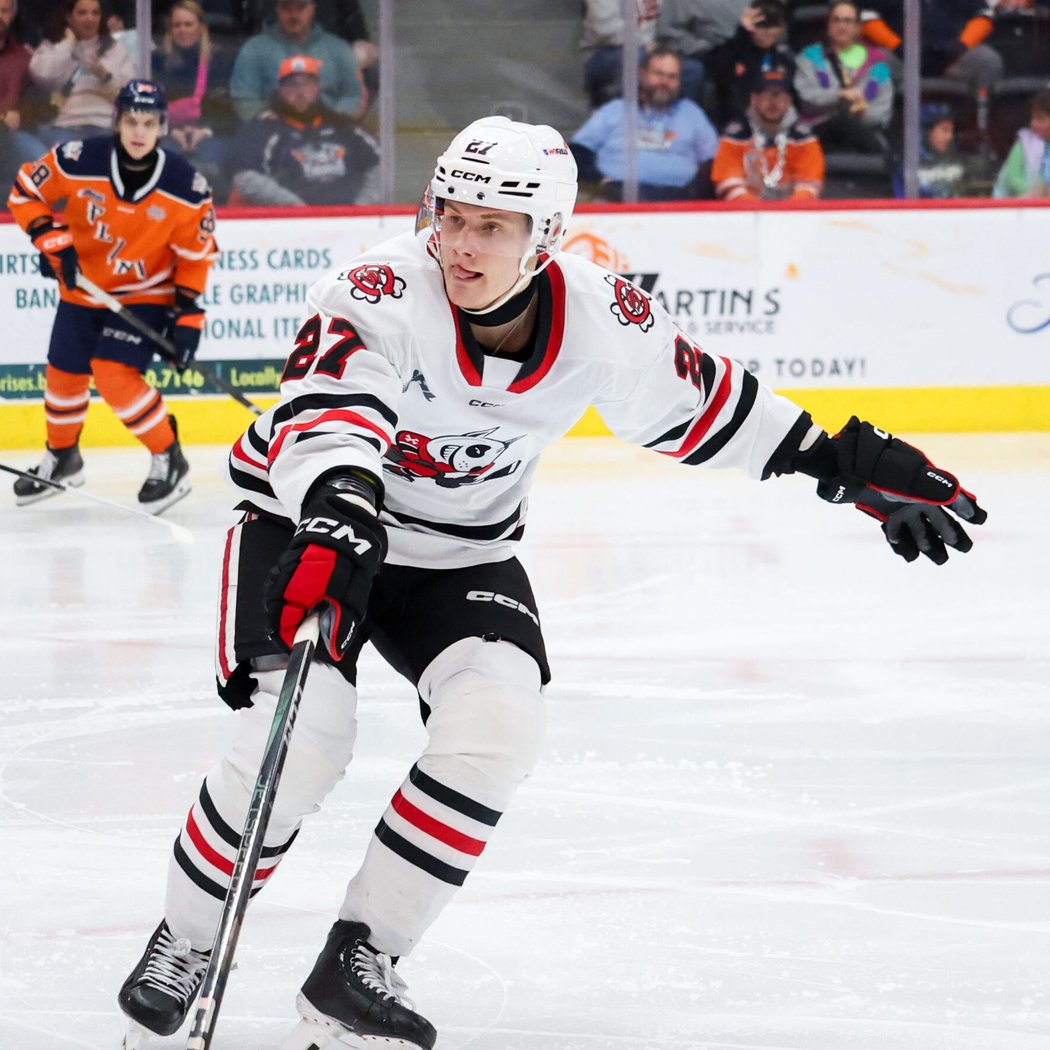 Flint Firebirds vs. Niagara IceDogs 2