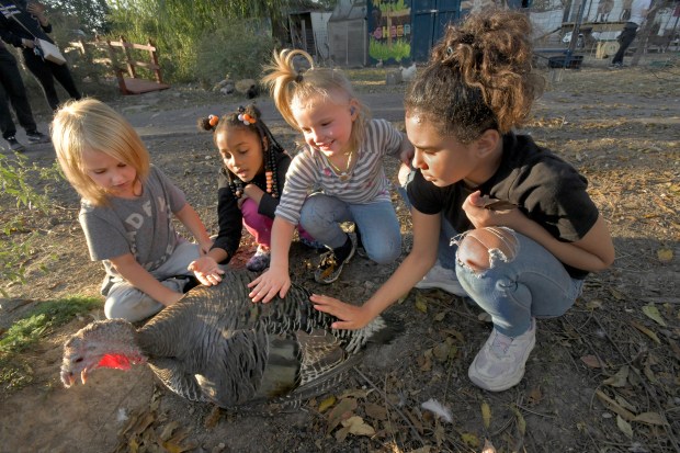 Filbert Street Garden Community Open Hours & Stewardship Day 1