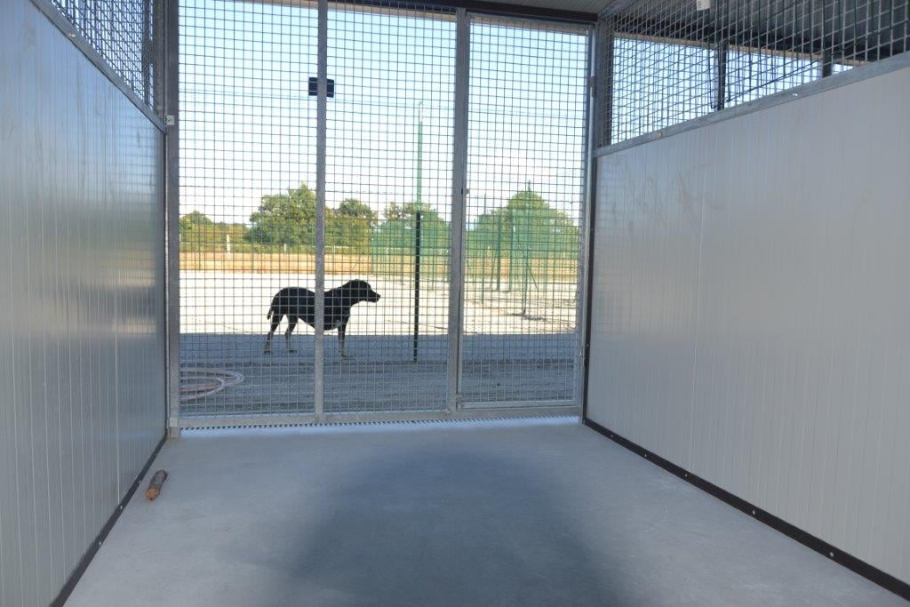 Pension canine et centre d'éducation canine Sportez Vous Chien 2