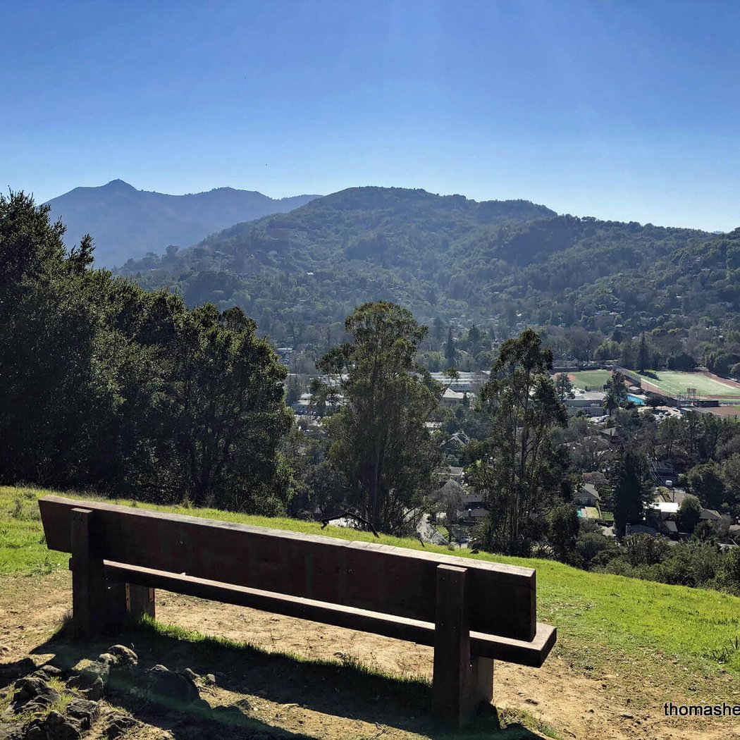 Faude Park 1
