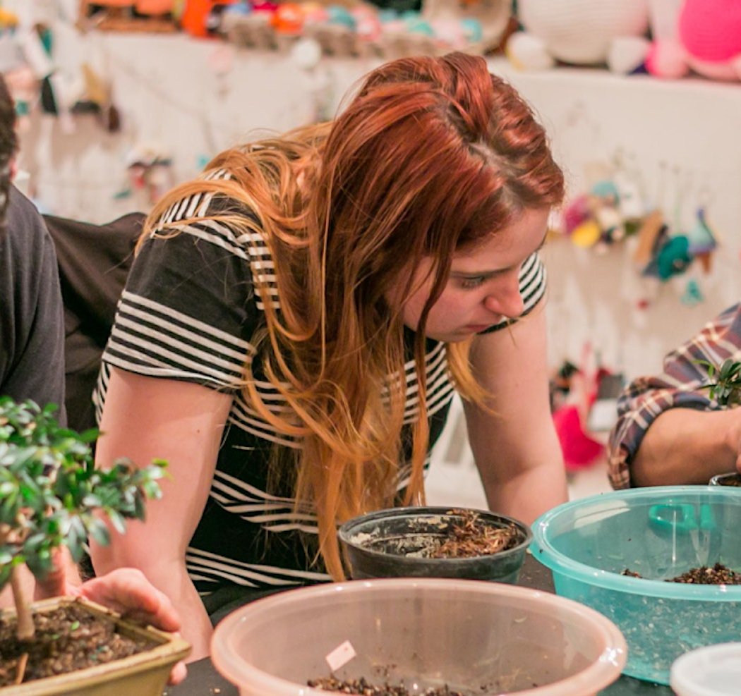 Beginner Bonsai Workshop with Elemental Nursery 2