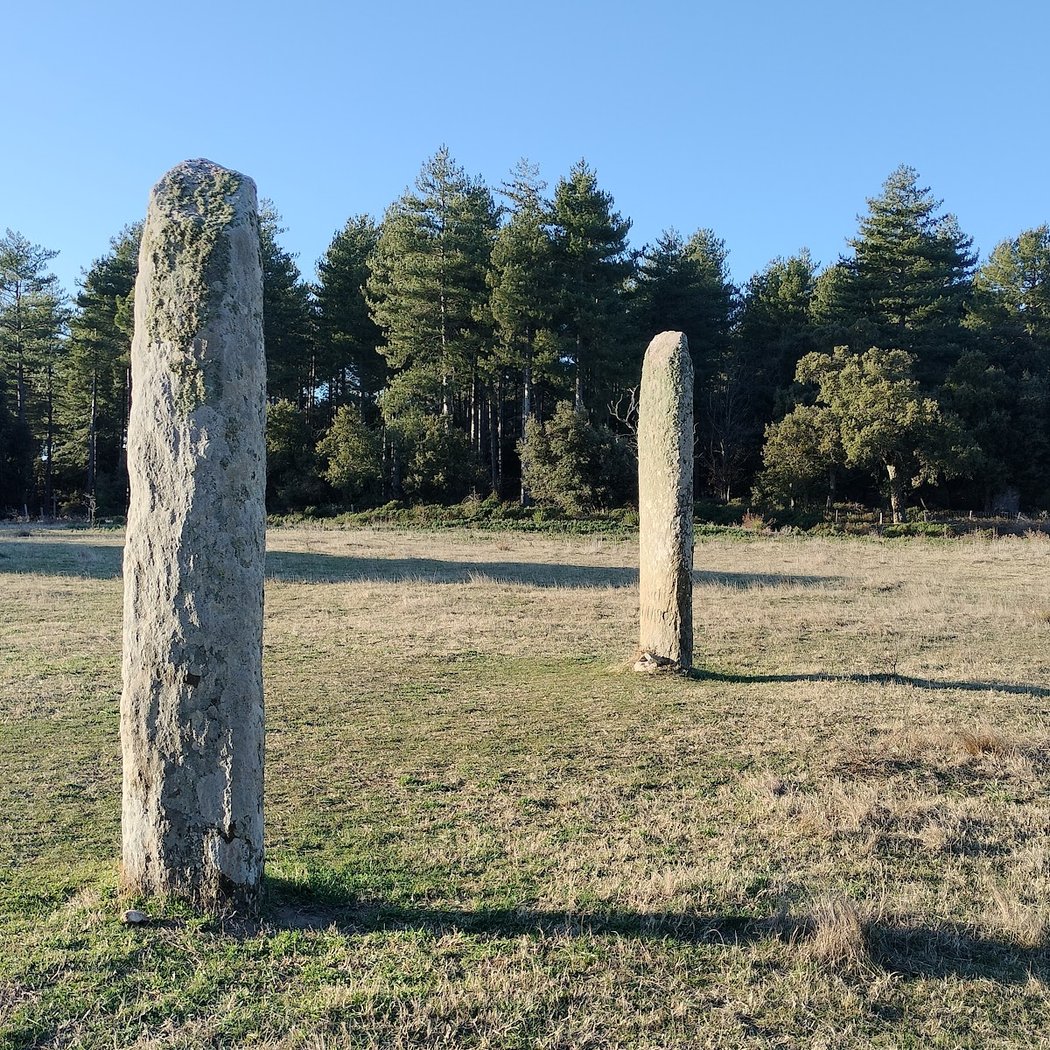 Menhirs de la Ferme Lambert 1